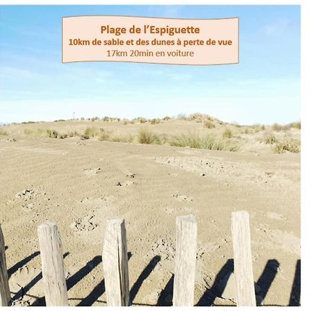 Suite Thalassa 1Ere Ligne Plages Du Couchant Wifi - Rossiconciergerie - Linge Inclus ラ・グランド・モット エクステリア 写真